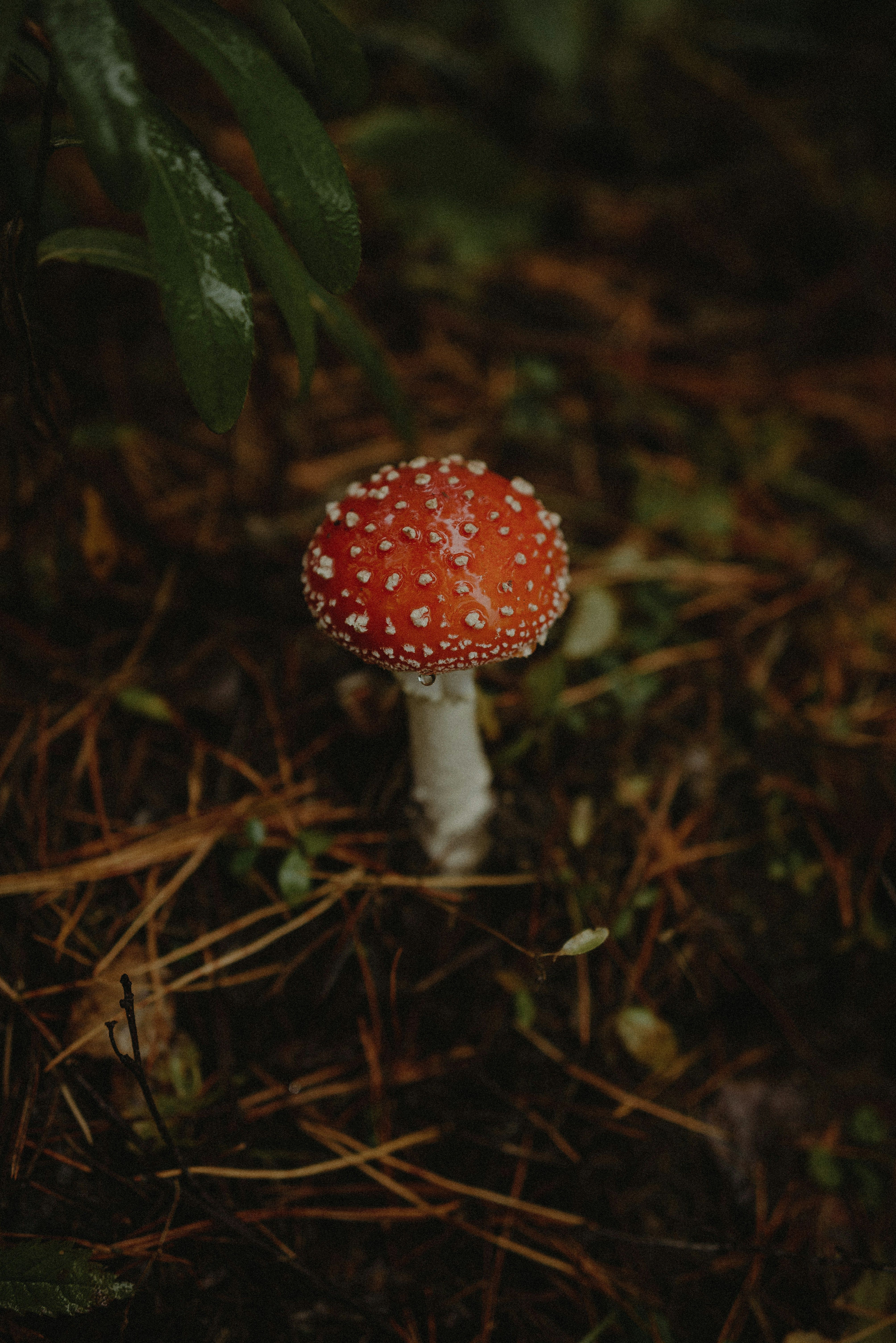 unsplash_0kcRs0RmtoU
